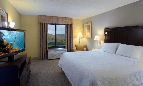 Hampton Inn By Hilton Bennington image 34