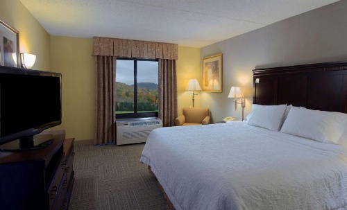 Hampton Inn By Hilton Bennington image 7